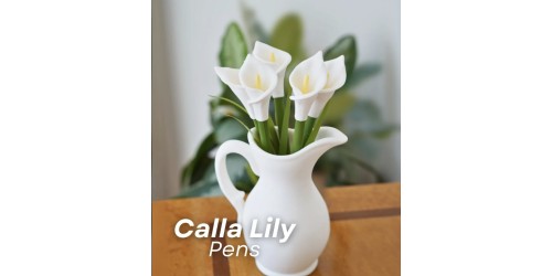 Calla Lily