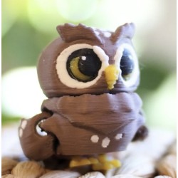 Observing Owl Observing Owl