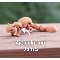 Squiggly Squirrel Squiggly Squirrel