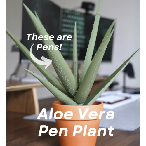 Aloe Vera Pen Plant Aloe Vera Pen Plant