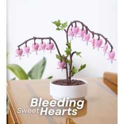 Bleeding Hearts Bleeding Hearts