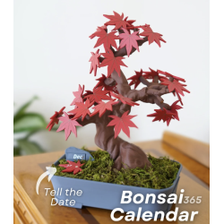 Bonsai 365 Tree Calendar Bonsai 365 Tree Calendar