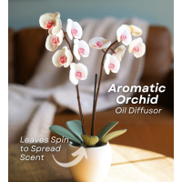 Aromatic Orchid Aromatic Orchid
