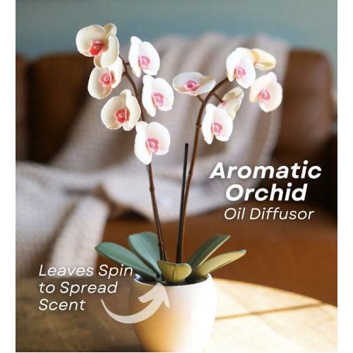 Aromatic Orchid Aromatic Orchid